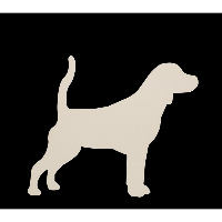 Imagem de K2 Comercio Ltda-Lojas Beagle